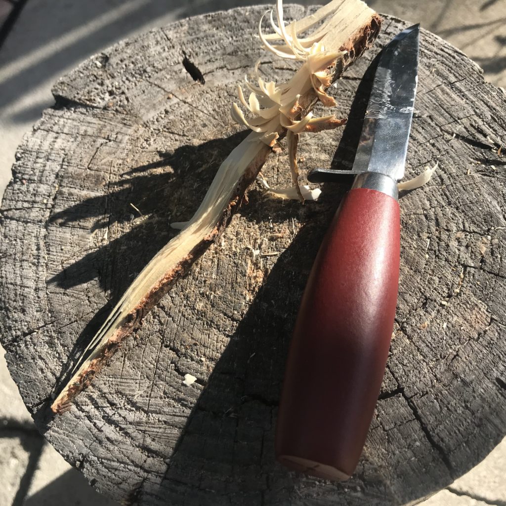 A feather stick and knife on a stump
