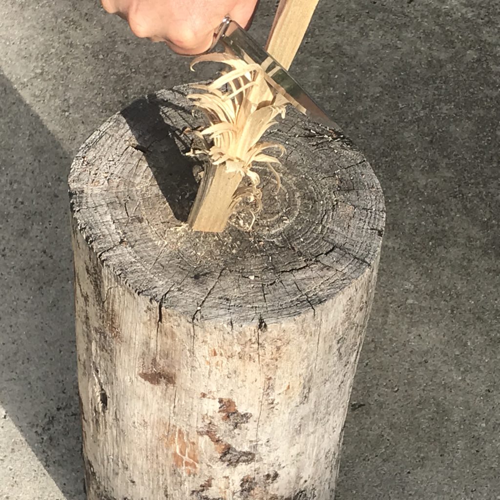 Hand shaving curls of wood on a piece of kindling